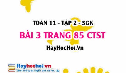 Bài 3 trang 85 Toán 11 tập 2 Chân trời sáng tạo